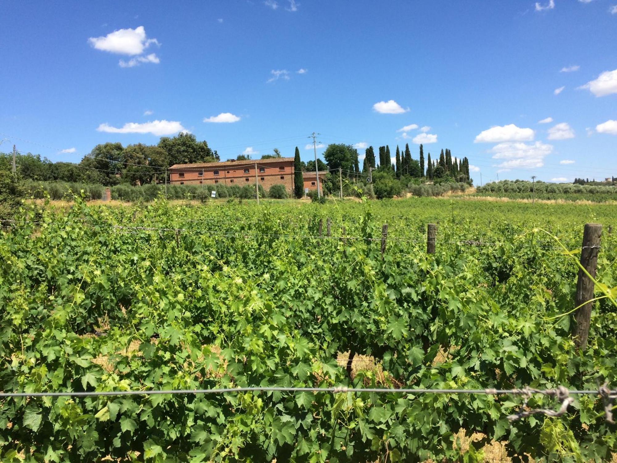 Agriturismo Fattoria Santa Vittoria Pozzo  Buitenkant foto